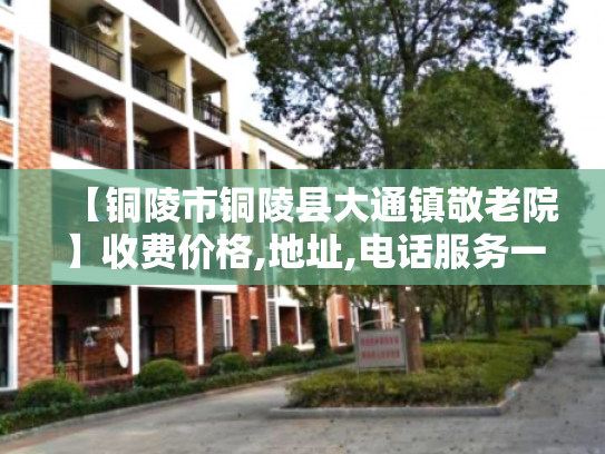 【铜陵市铜陵县大通镇敬老院】收费价格,地址,电话服务一览