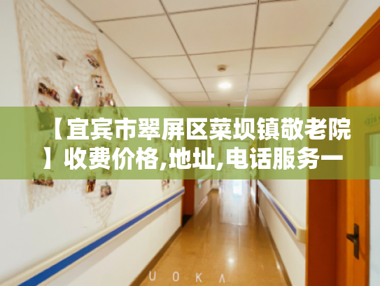 【宜宾市翠屏区菜坝镇敬老院】收费价格,地址,电话服务一览 【宜宾市翠屏区菜坝镇敬老院】收费价格,地址,电话服务一览