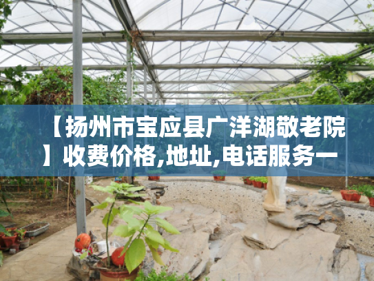 【扬州市宝应县广洋湖敬老院】收费价格,地址,电话服务一览