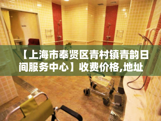【上海市奉贤区青村镇青韵日间服务中心】收费价格,地址,电话服务一览