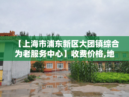 【上海市浦东新区大团镇综合为老服务中心】收费价格,地址,电话服务一览